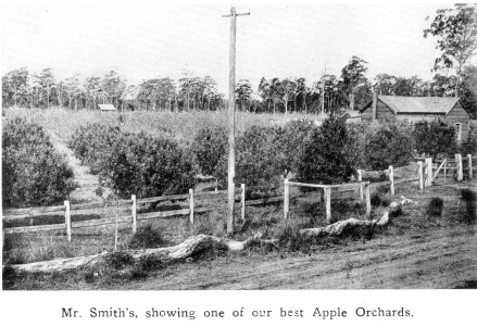 WE_Book_24_Apple Orchard_Smith