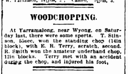 Woodchopping contest at Yarramalong. The Referee, 14 October 1914.