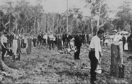 A meeting of local woodchoppers of the Wyong and Yarramalong district, c1900.